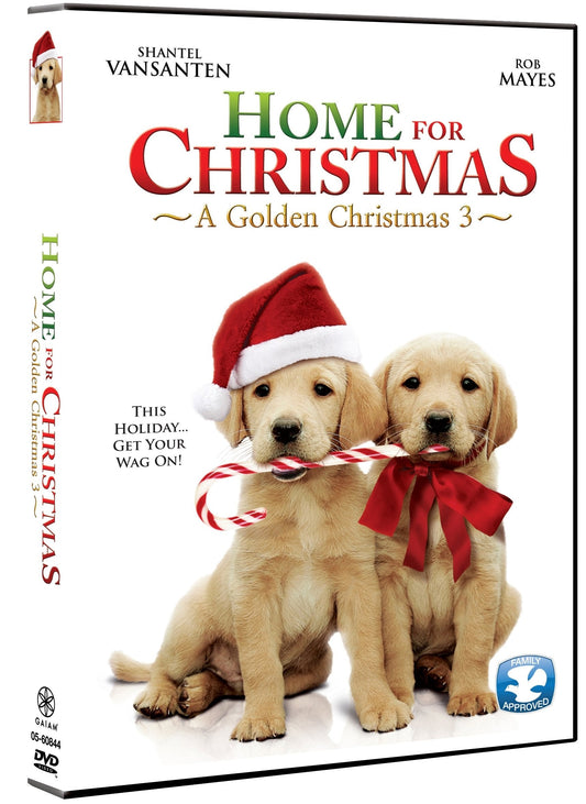 Noël à la maison : Un Noël en or 3 - DVD (Occasion)