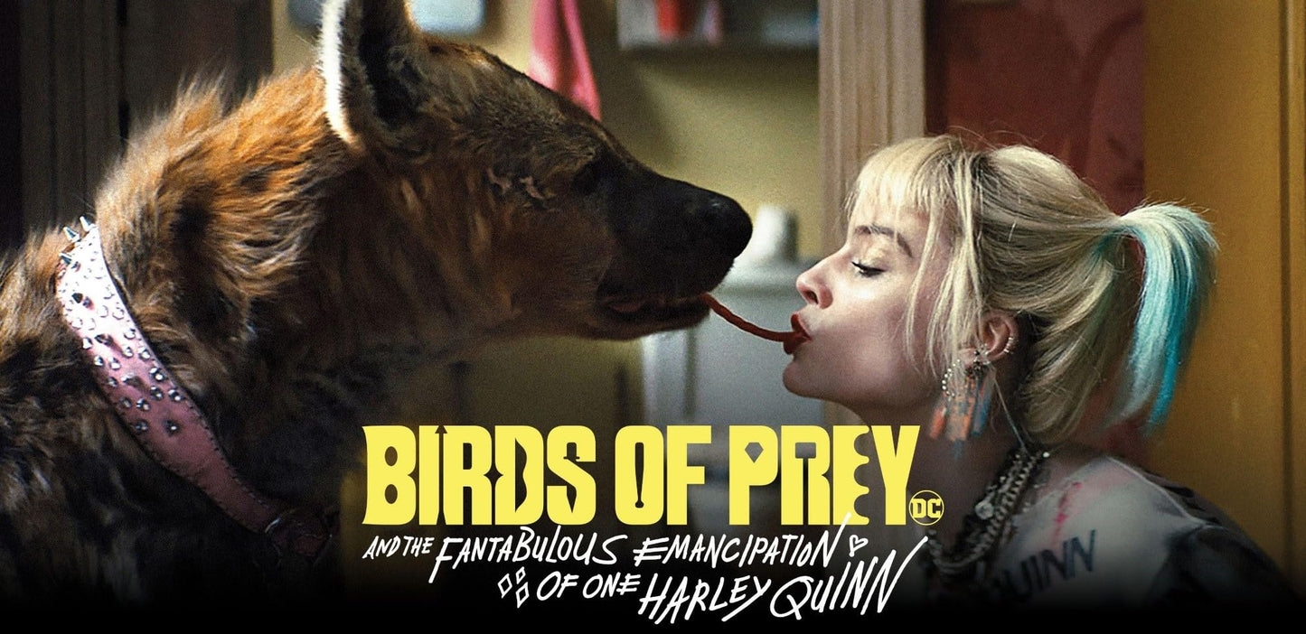 Birds of Prey (BIL/DVD + Digital combo Pack / Blu-ray)