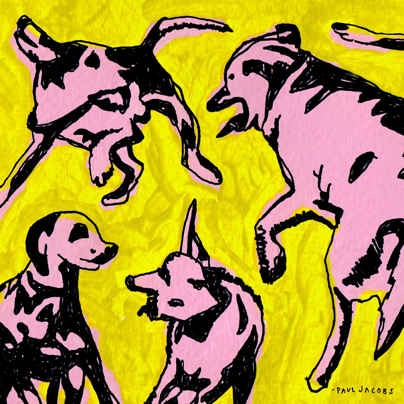 Paul Jacobs / Pink Dogs On The Green Grass - CD