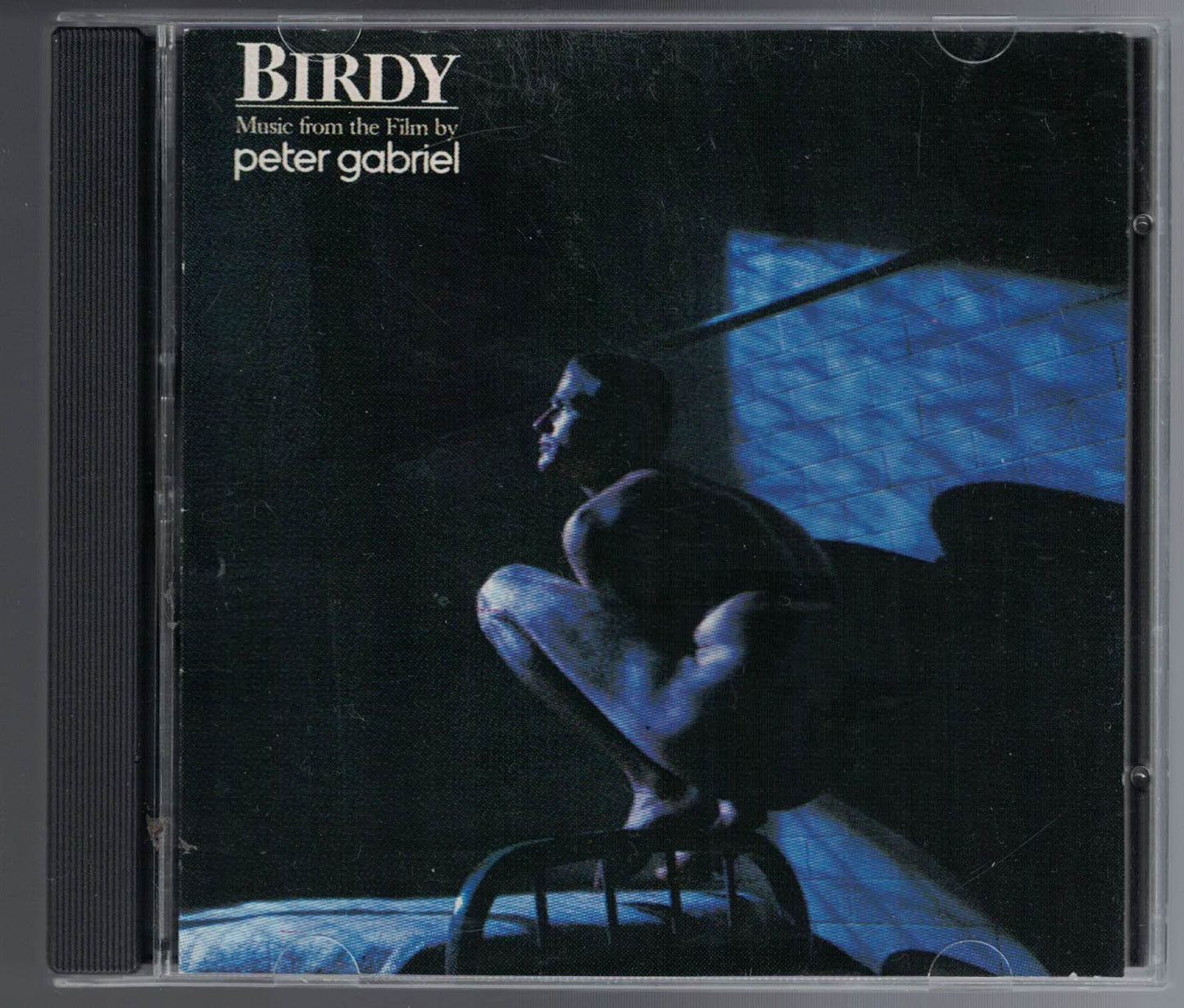 Birdy : Music by Peter Gabriel From the Film Birdy