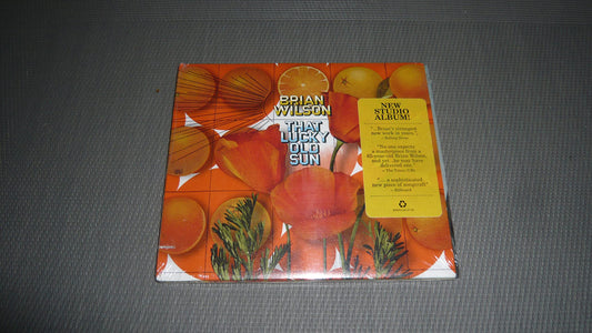 BRIAN WILSON - THAT LUCKY OLD SUN