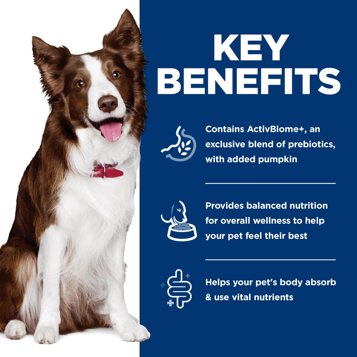 Hill's Science Diet Perfect Digestion, Adult 1-6, Digestive Support, Wet Dog Food, Chicken, Vegetable & Rice Stew, 12.5 oz Can, Case of 12 🍁 All In One Marketplace Canada