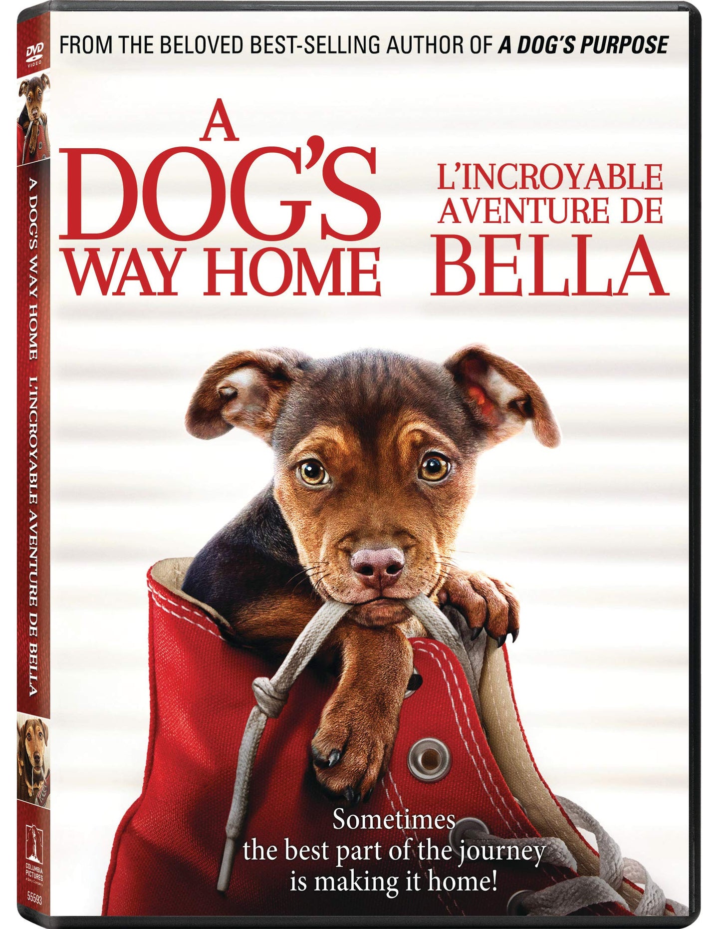A Dog's Way Home - DVD (Used)