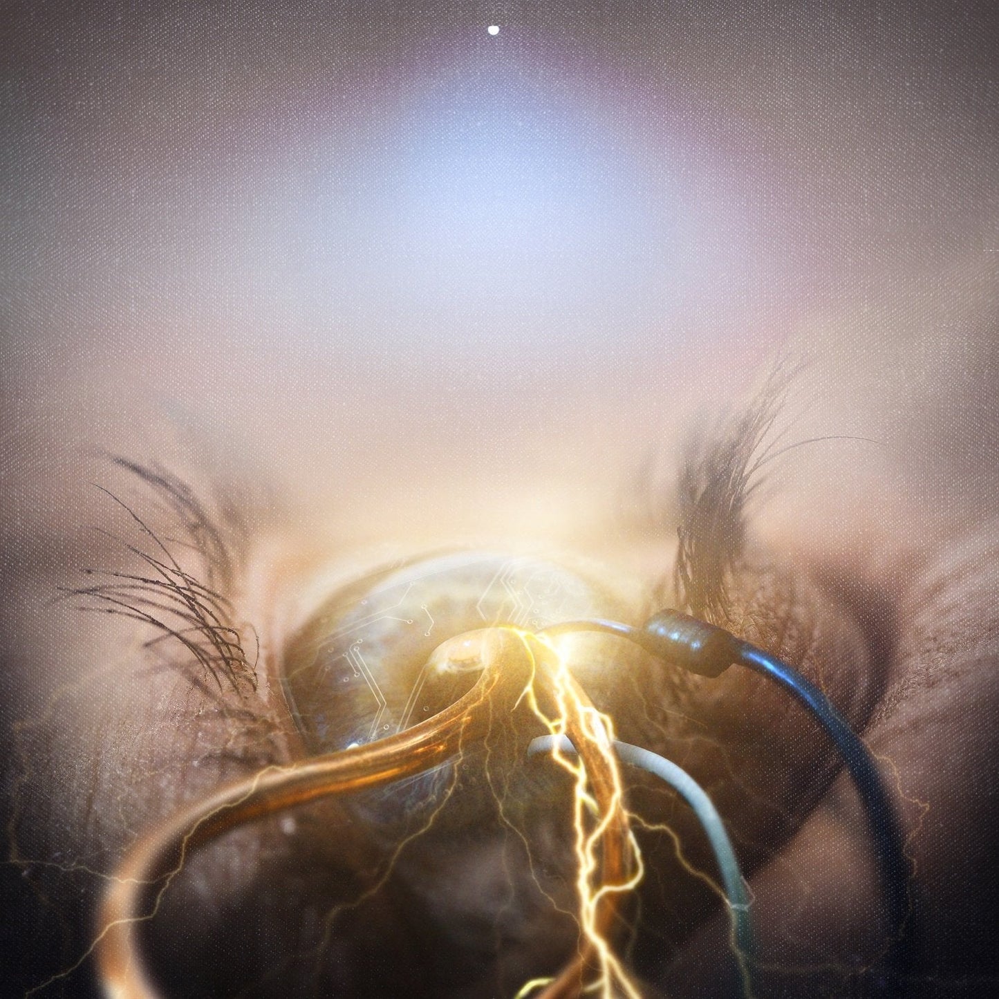 The Agonist / Eye of Providence - CD (Used)