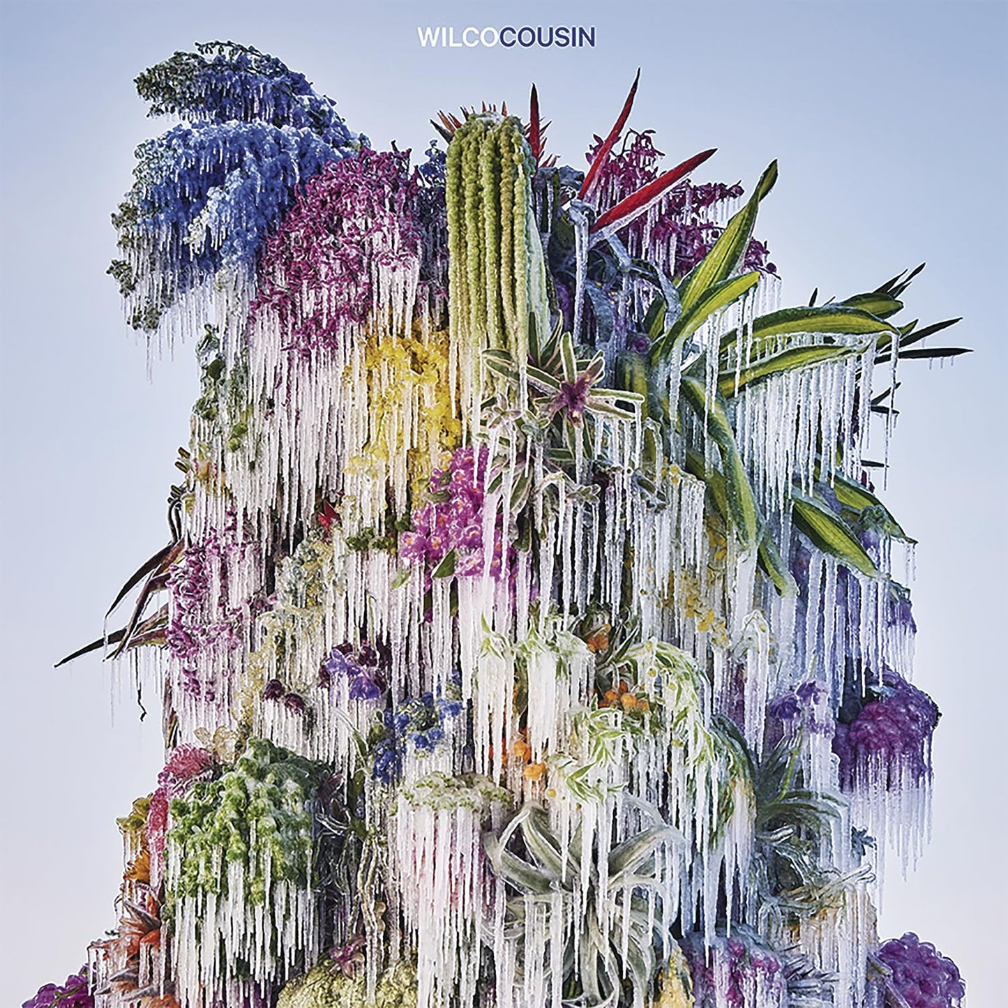 Wilco / Cousin - CD