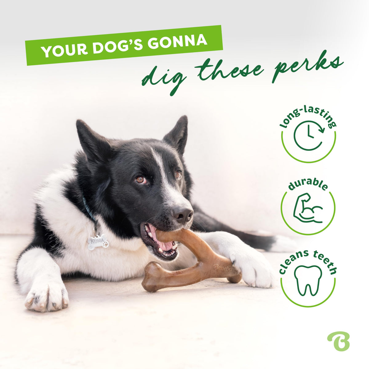 Benebone 3-Pack Wishbone Dog Chew Toy for Aggressive Chewers, Medium 🍁 All In One Marketplace Canada