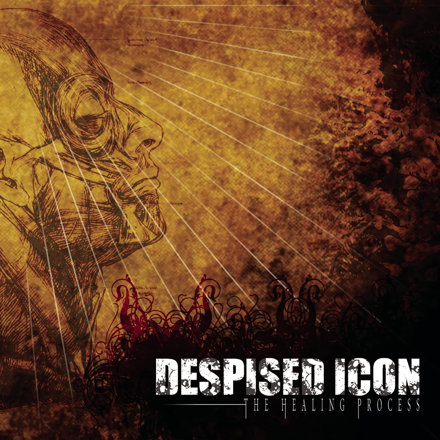 Despised Icon / The Healing Process (Alternate Mix - Re-Issue + Bonus 2022) - CD