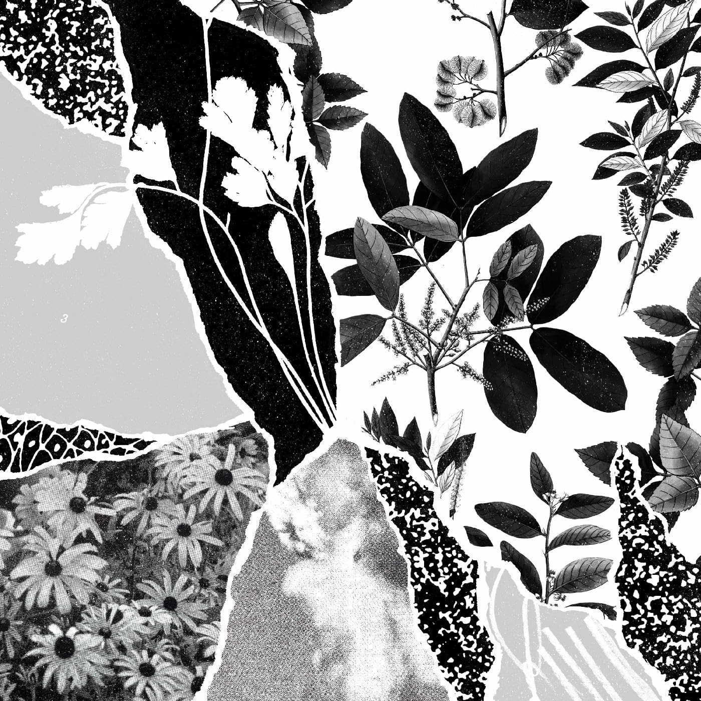 Ponctuation / Mon Herbier Du Monde Entier - CD