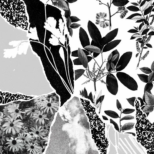 Ponctuation / Mon Herbier Du Monde Entier - CD
