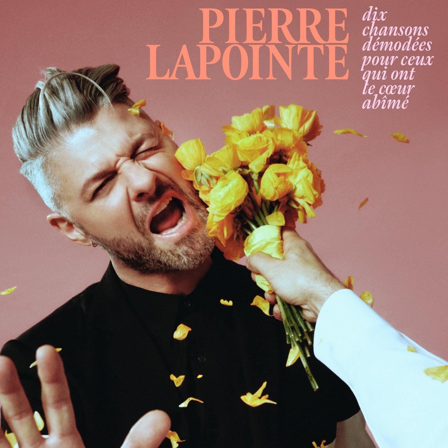 Pierre Lapointe / Dix Chansons Demodees Pour Ceux Qui Ont Le Coeur Abime - CD