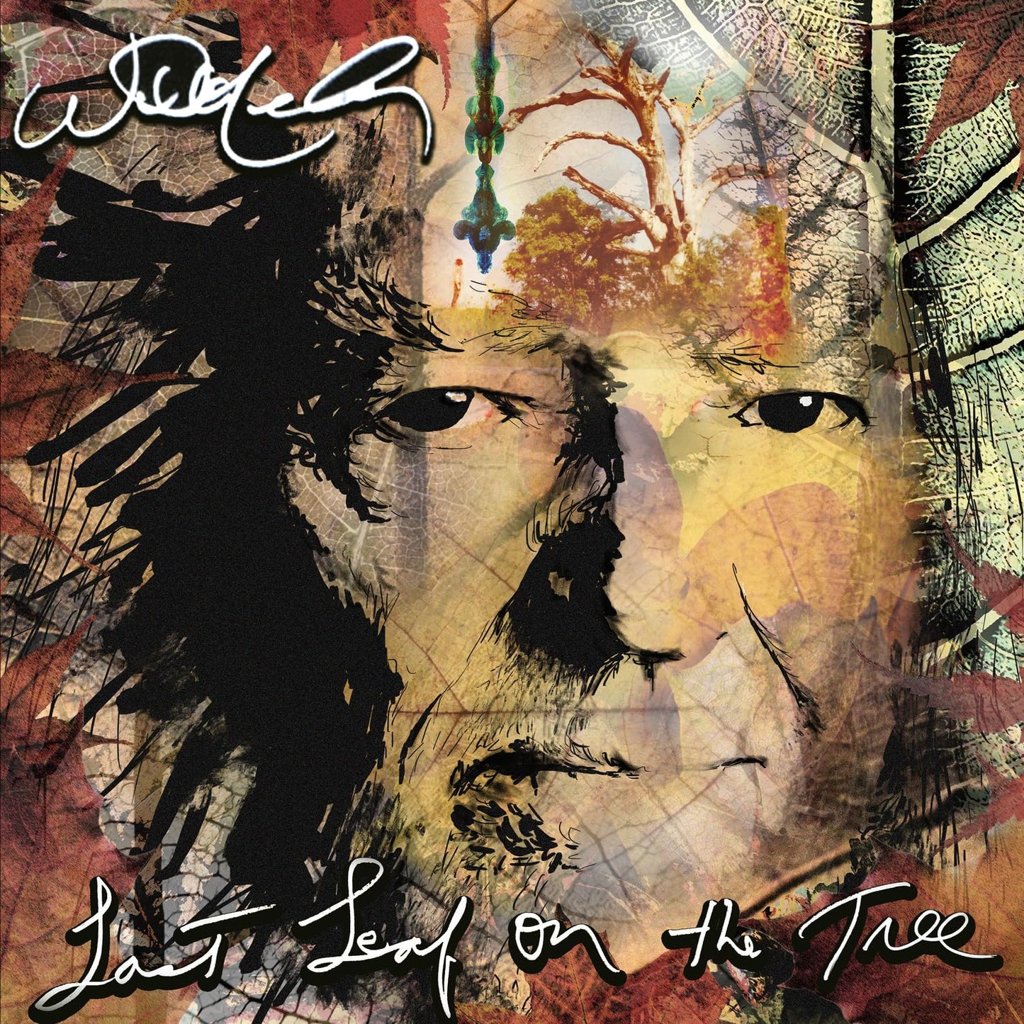 Willie Nelson / Last Leaf On The Tree - CD