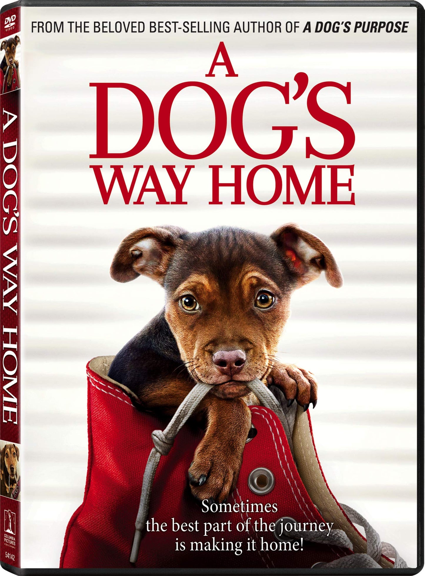 A Dog's Way Home - DVD (Used)