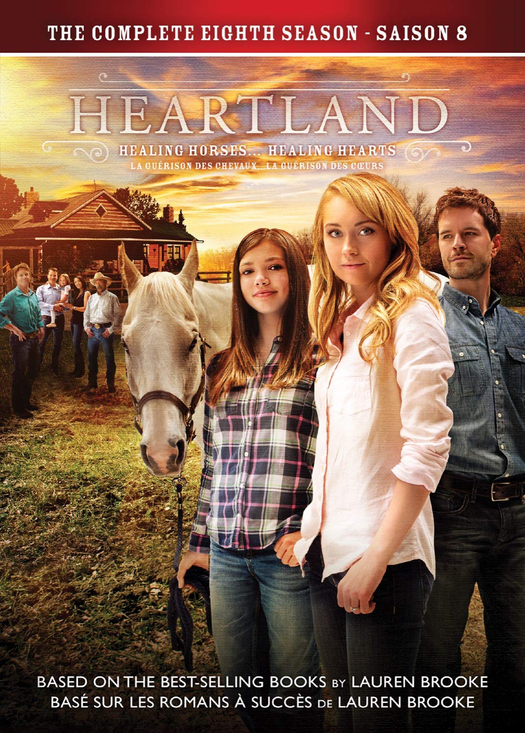 Heartland / The Complete Eighth Season - DVD (Used)