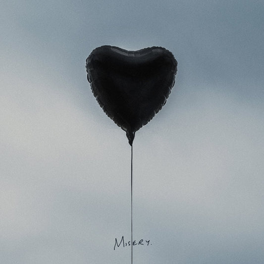 The Amity Affliction / Misery (X) - CD