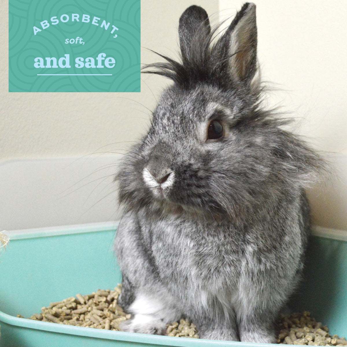 Oxbow Bene Terra Eco-Straw 20-Pound 🍁 All In One Marketplace Canada