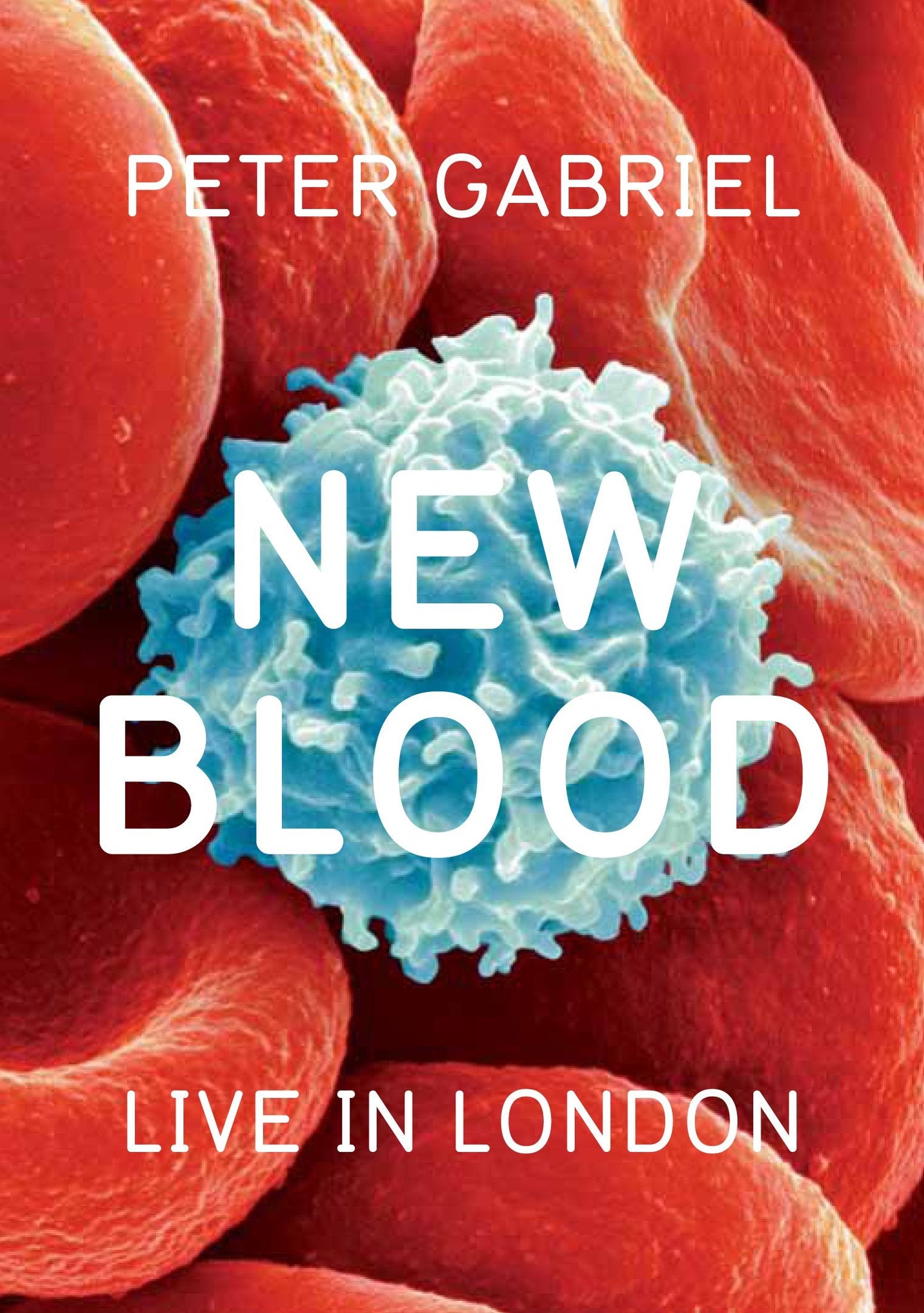 New Blood Live In London - DVD (Used)