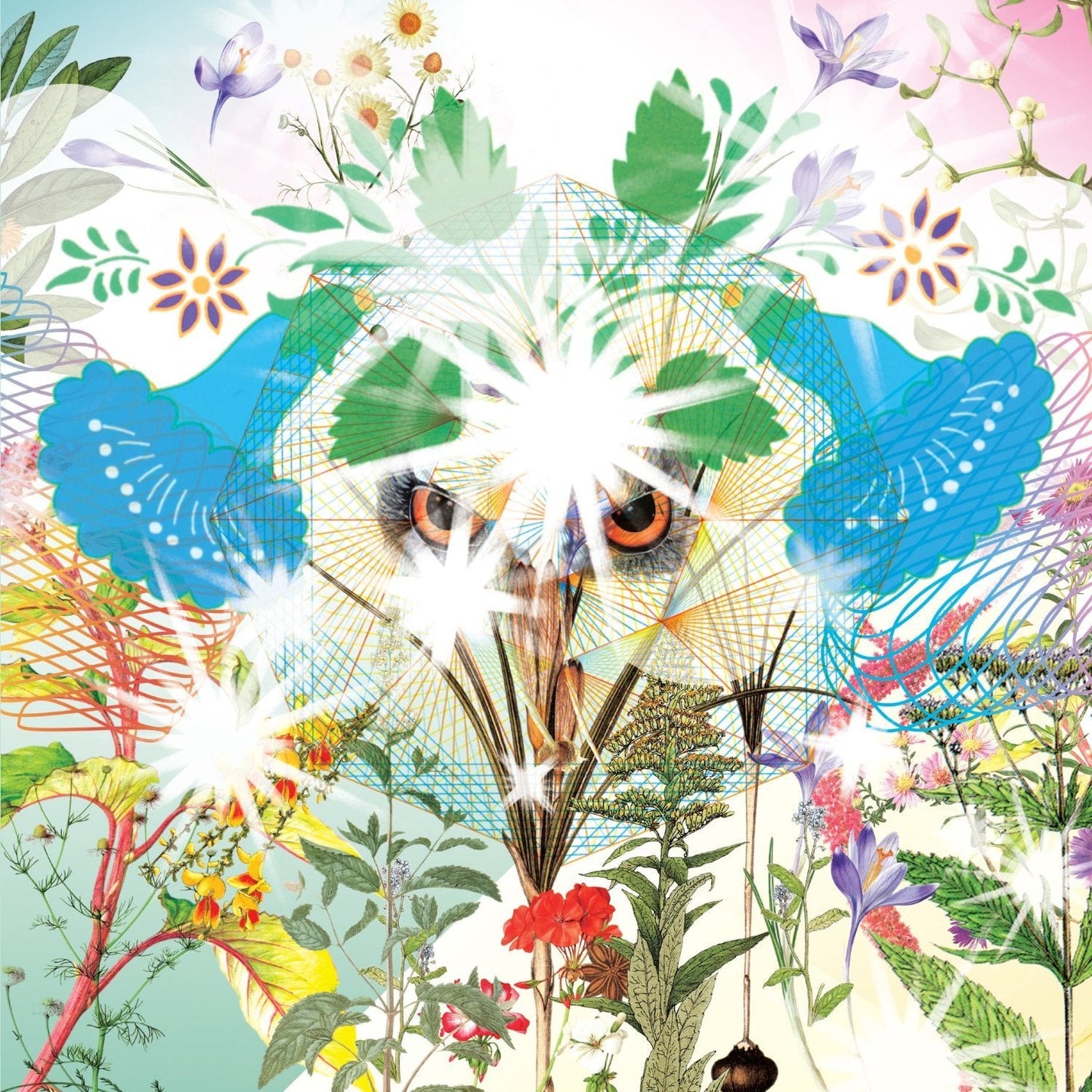 OOIOO / Gamel - CD