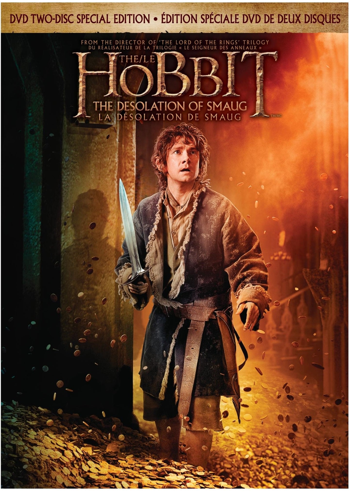 The Hobbit: The Desolation of Smaug Special Edition - DVD