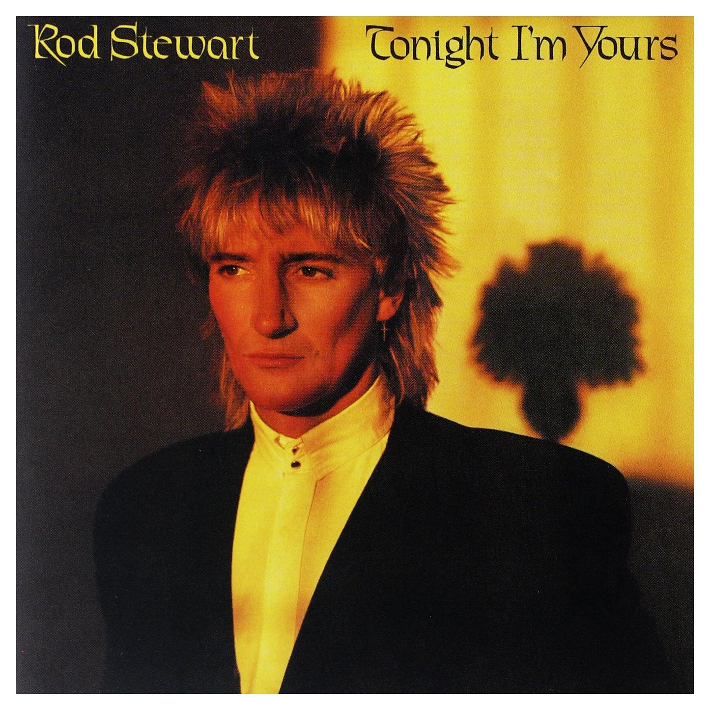 Tonight I'm Yours