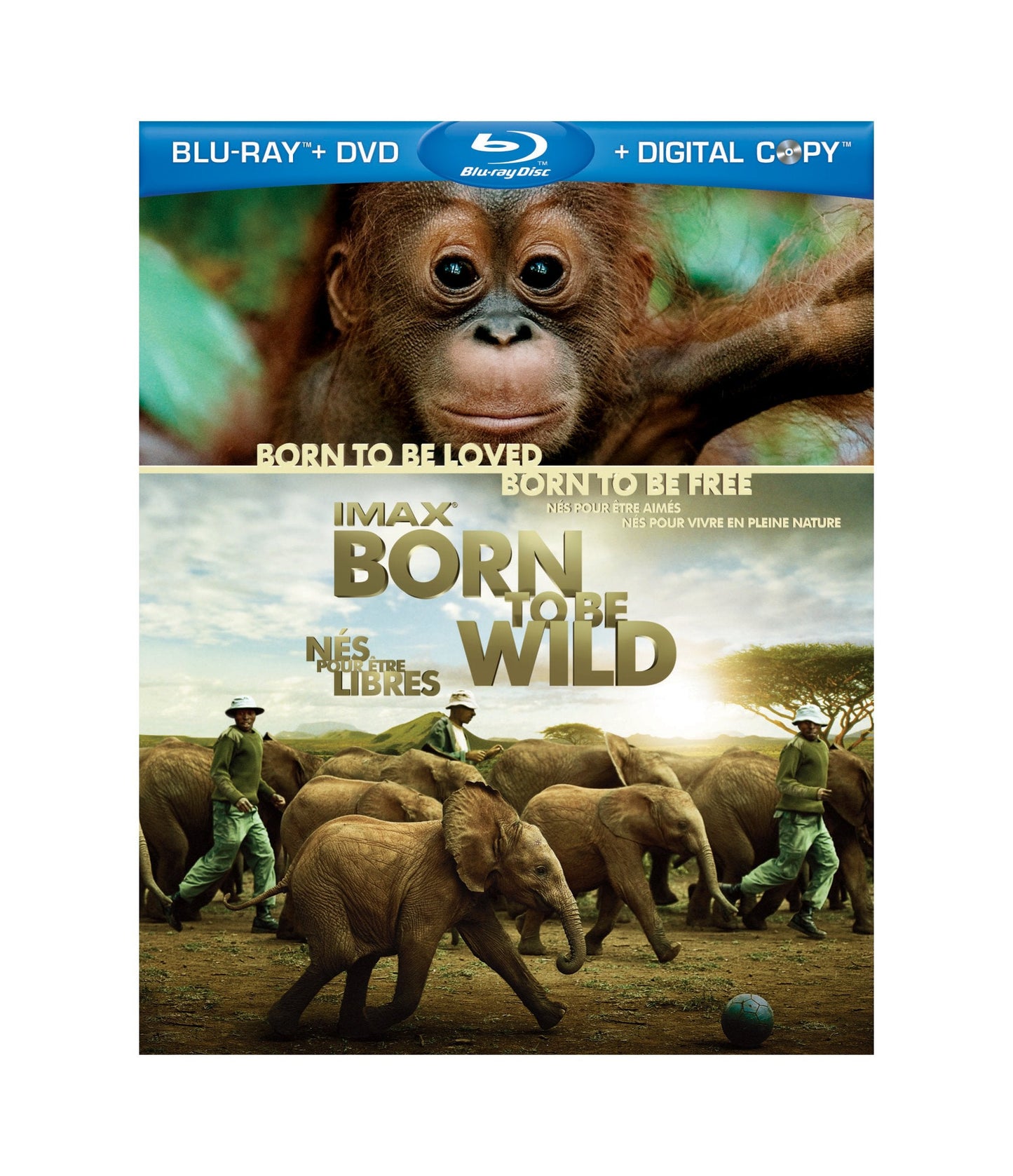 IMAX: Born to Be Wild (Bilingual) [Blu-ray + DVD + Digital Copy]