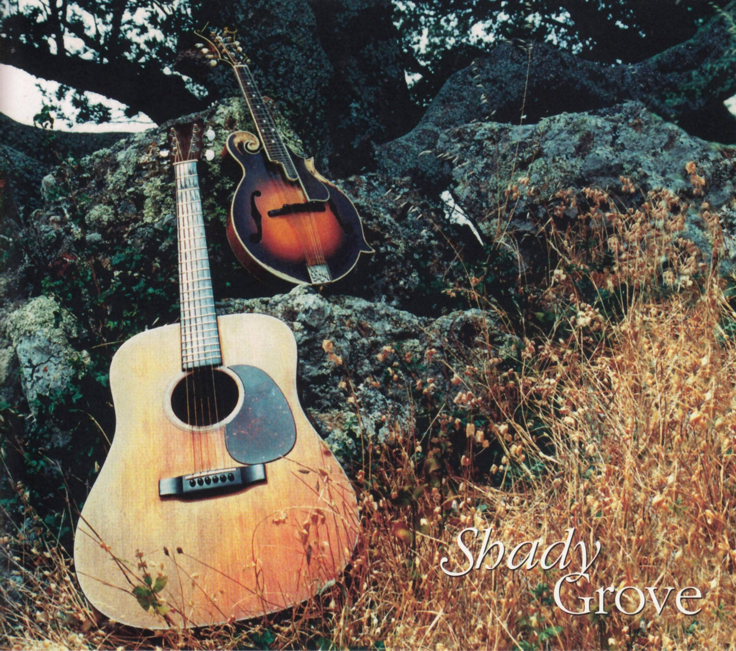 Shady Grove