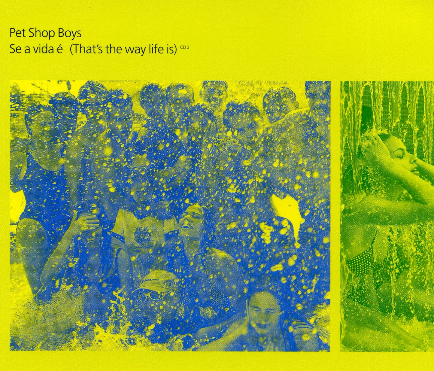 Se A Vida É (That's the Way Life Is)