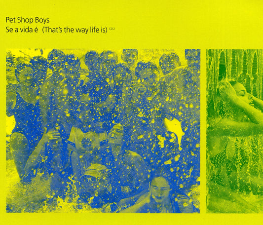 Se A Vida É (That's the Way Life Is)