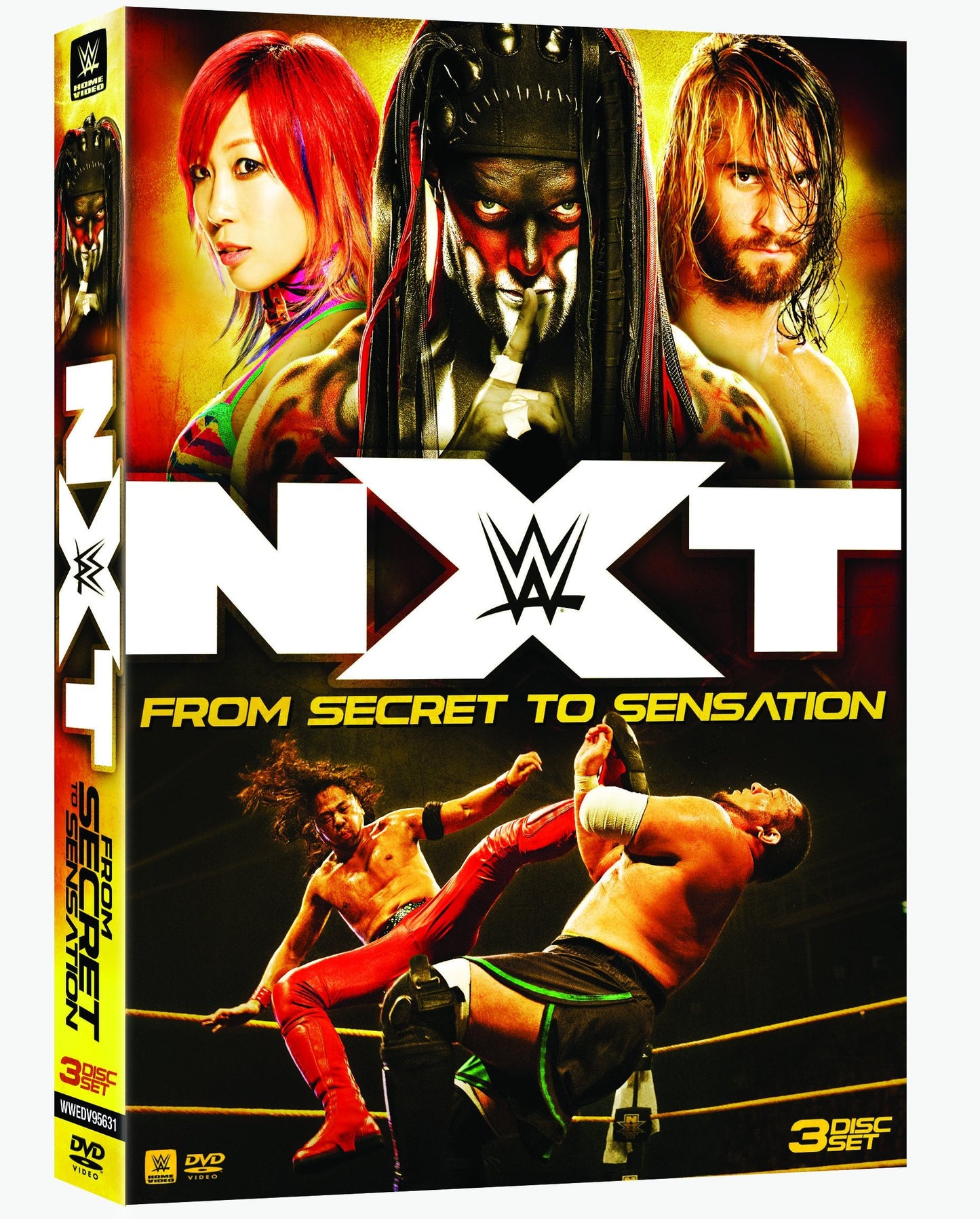 WWE NXT: From Secret to Sensation