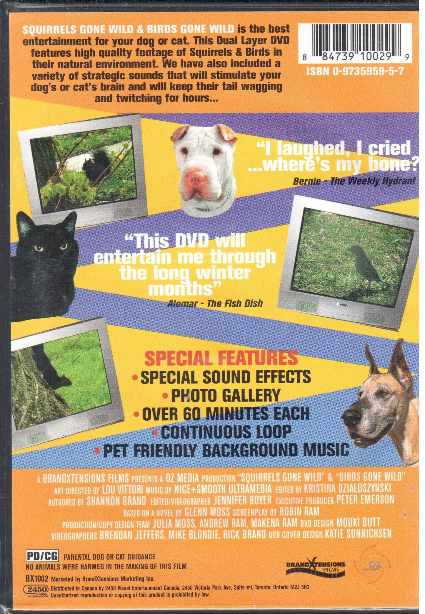 Squirrels & Birds Gone Wild - DVD