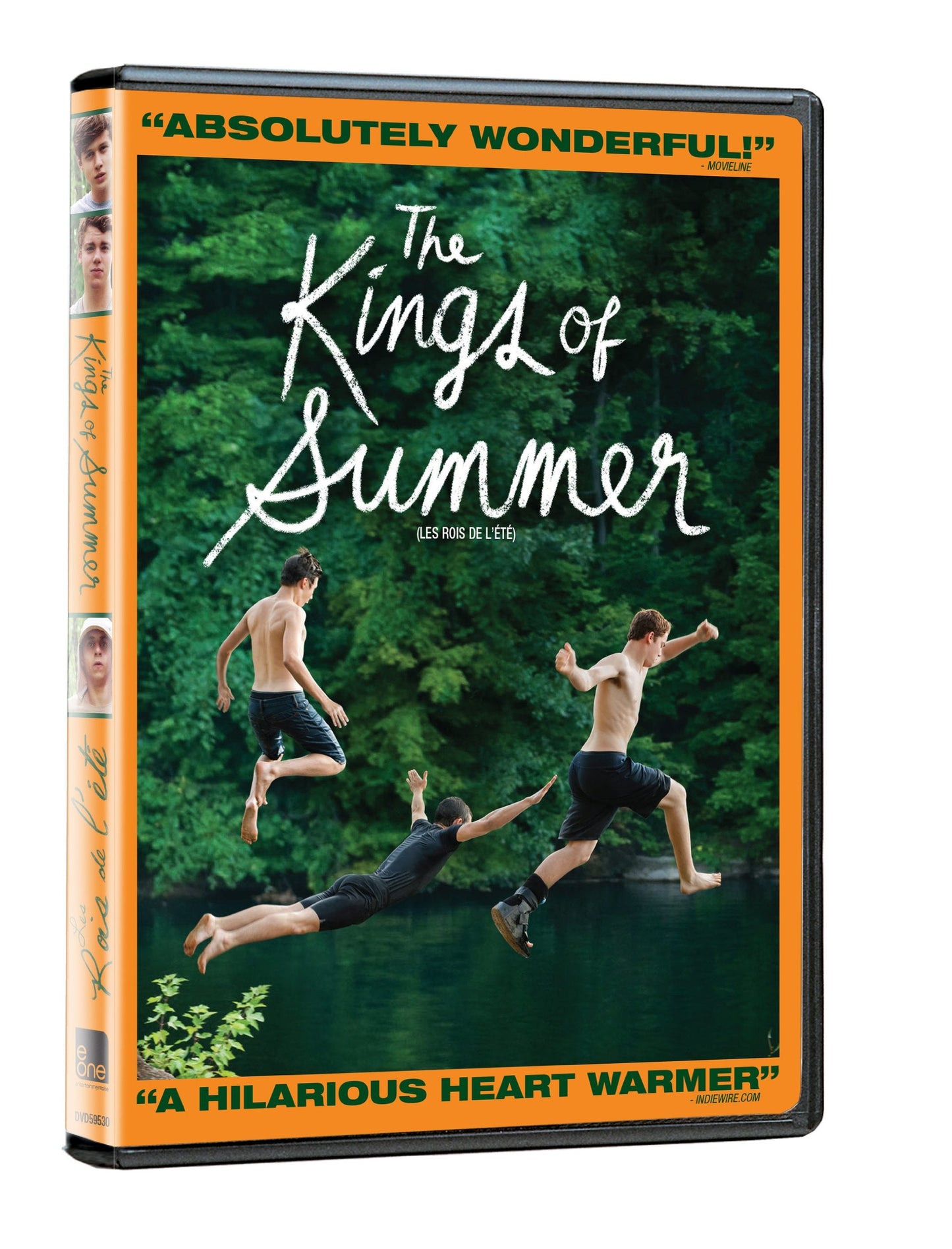 The Kings of Summer - DVD (Used)