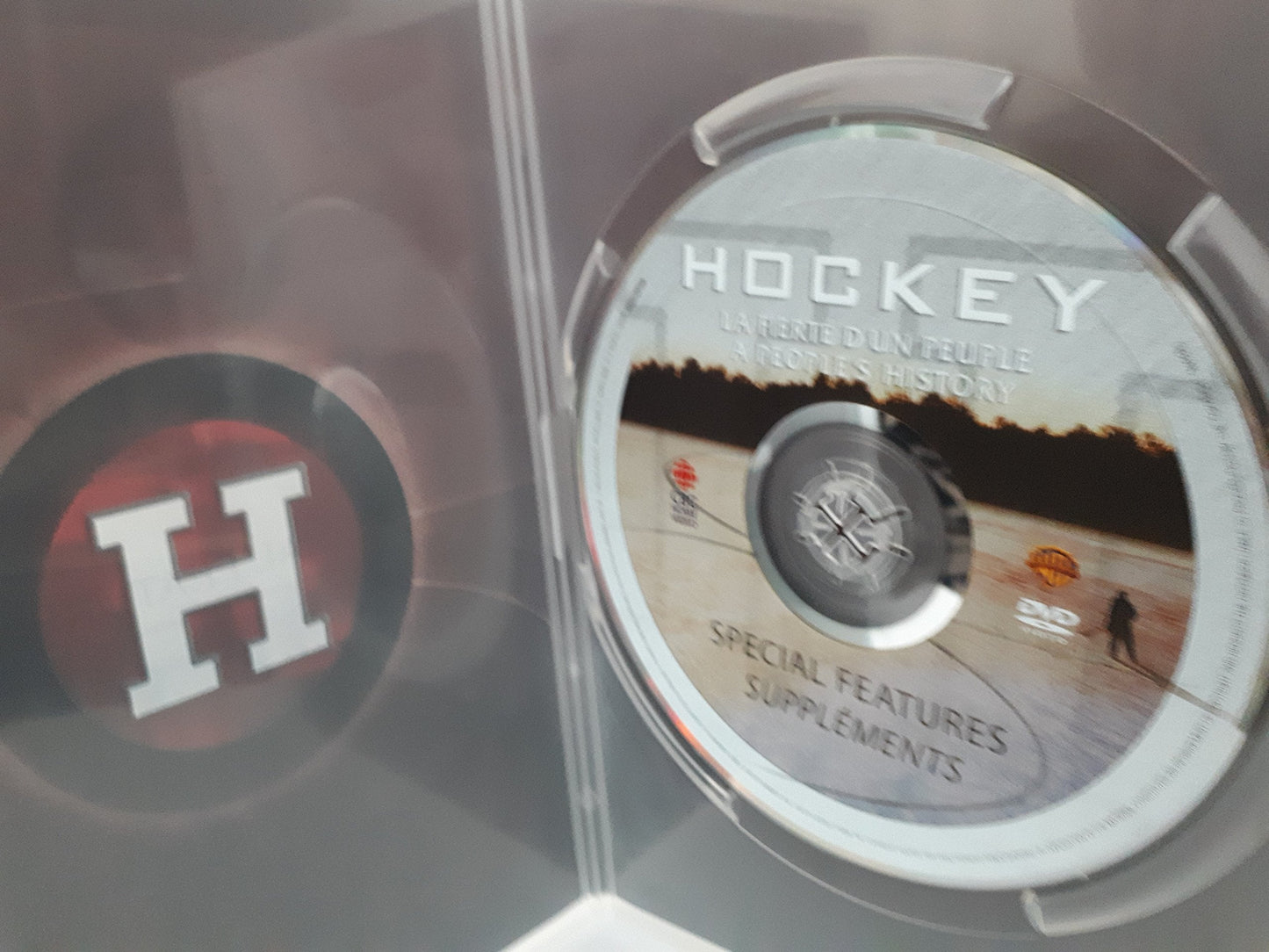 Hockey: A People's History