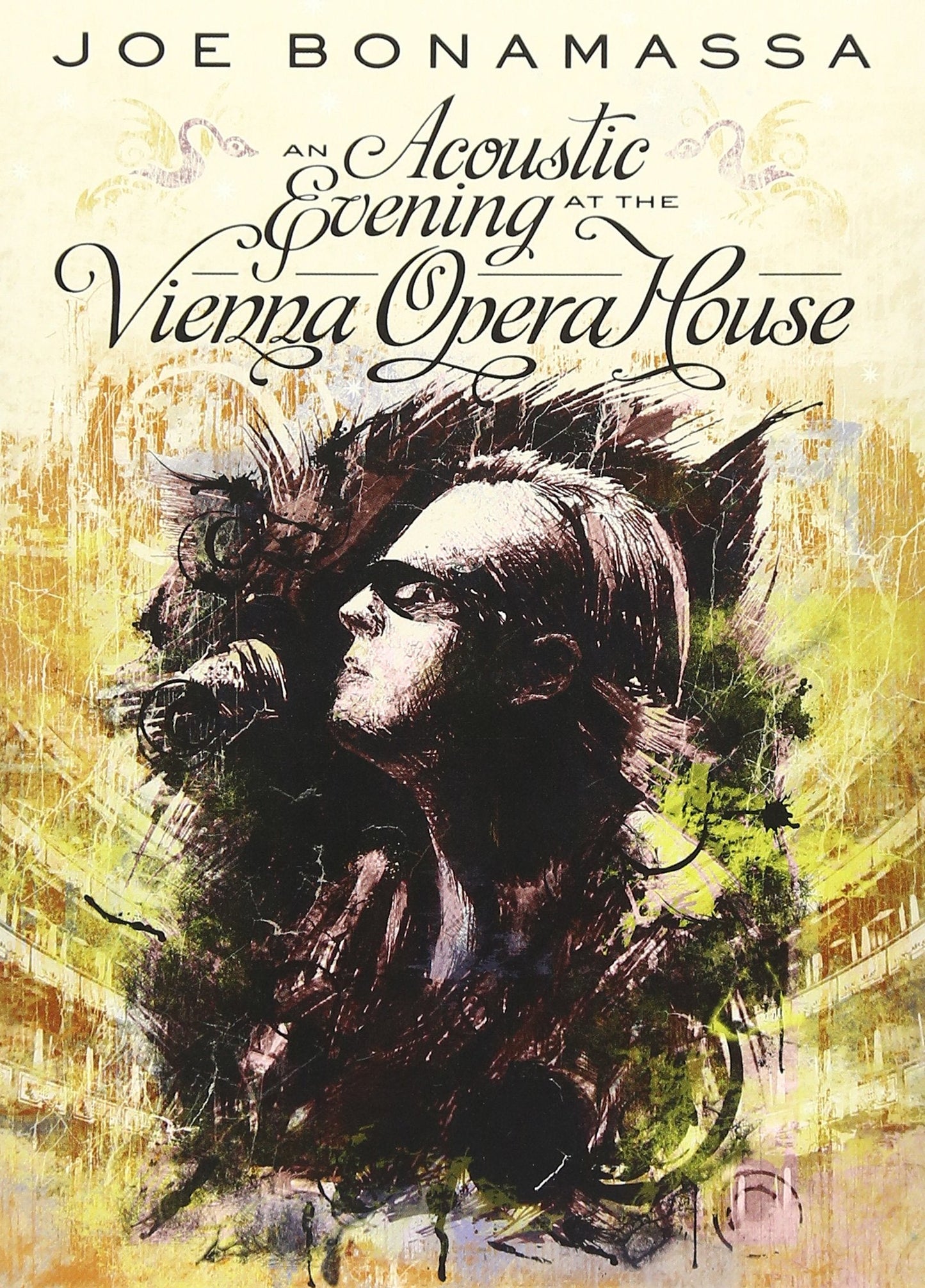 An Acoustic Evening At The Vienna Opera House (DVD)