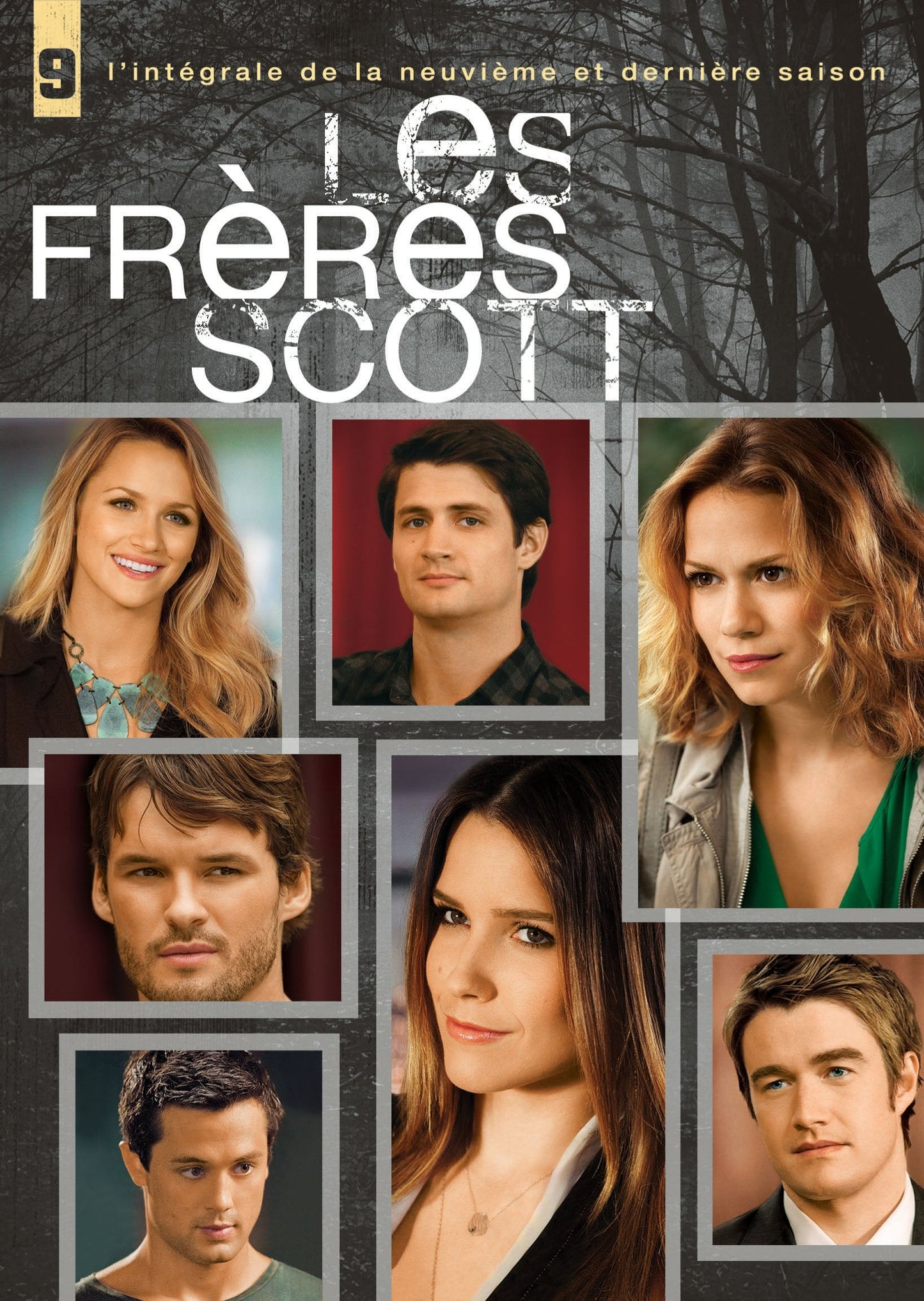 Les Frères Scott / Saison 9 - DVD (Used)