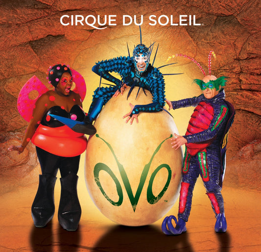 Cirque Du Soleil