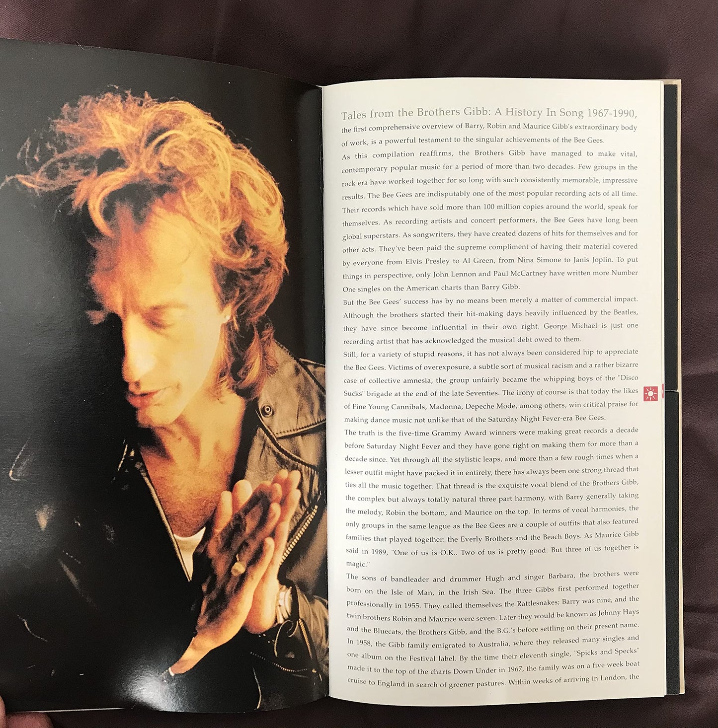 Tales From The Brothers Gibb, A History in Song 1967-1990
