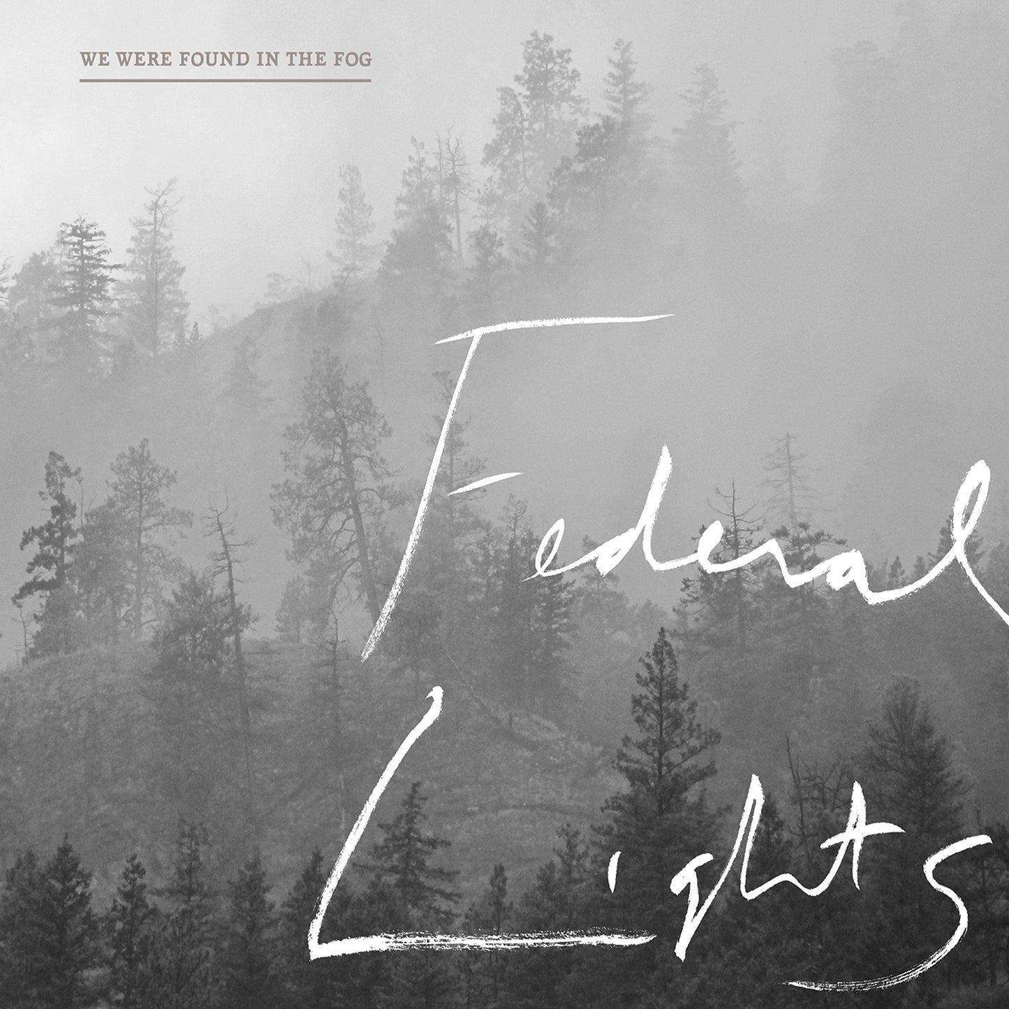 We Were Found In the Fog