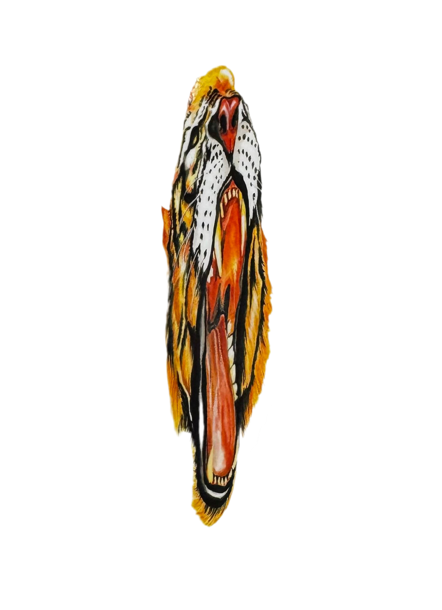 Baker 'Tiger' Sticker - Orange