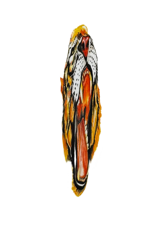 Baker 'Tiger' Sticker - Orange