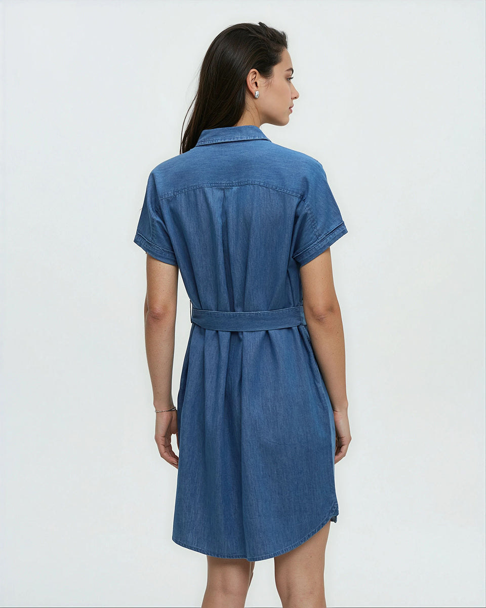 Denim Tern Dress
