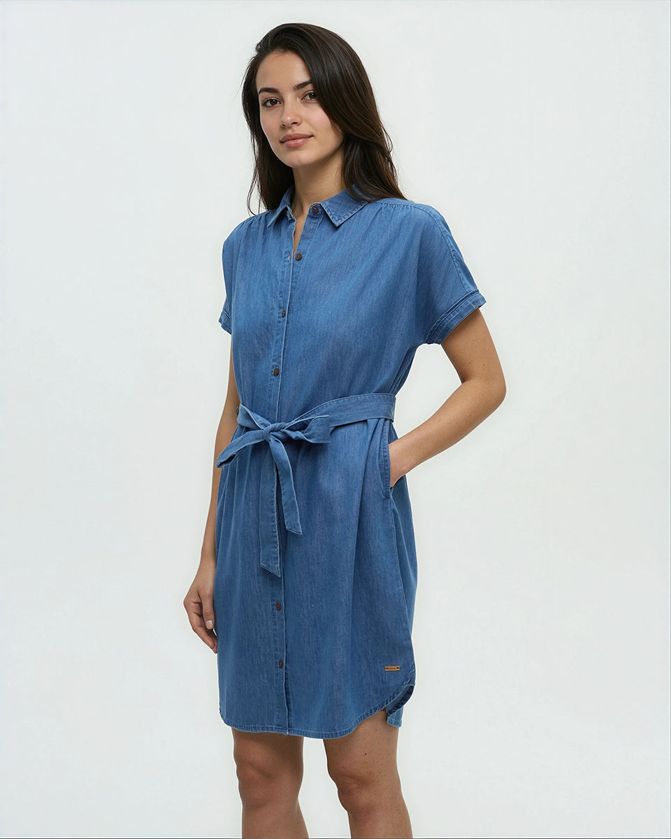 Denim Tern Dress
