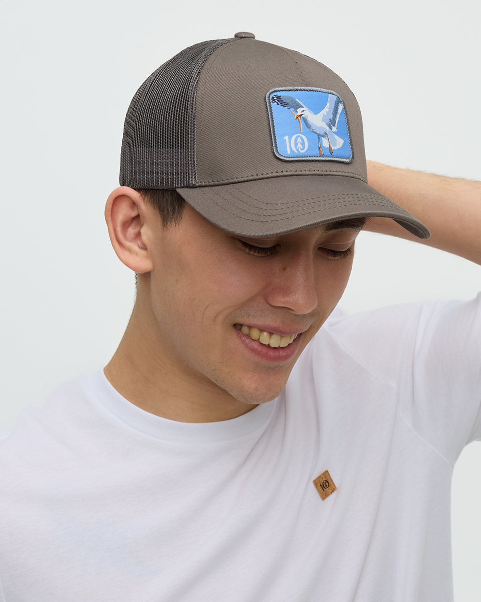Lake Logo Altitude Hat