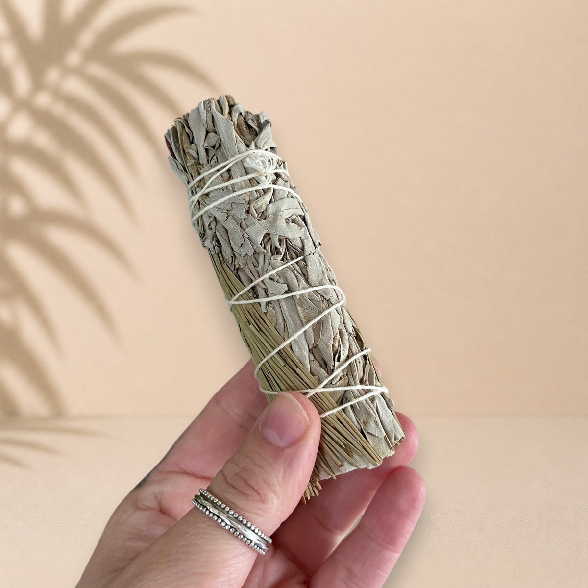 Bâton de sauge blanche et pin