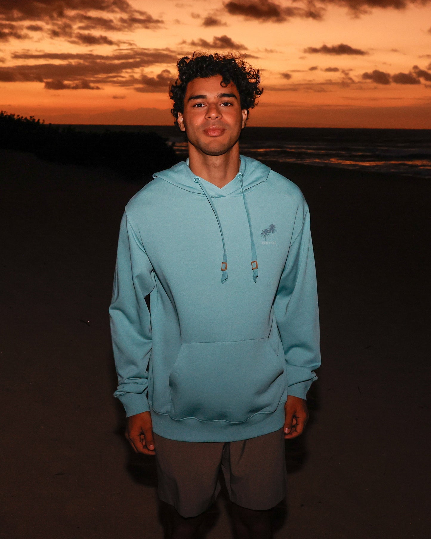 Haiti Palm Logo Relaxed Hoodie