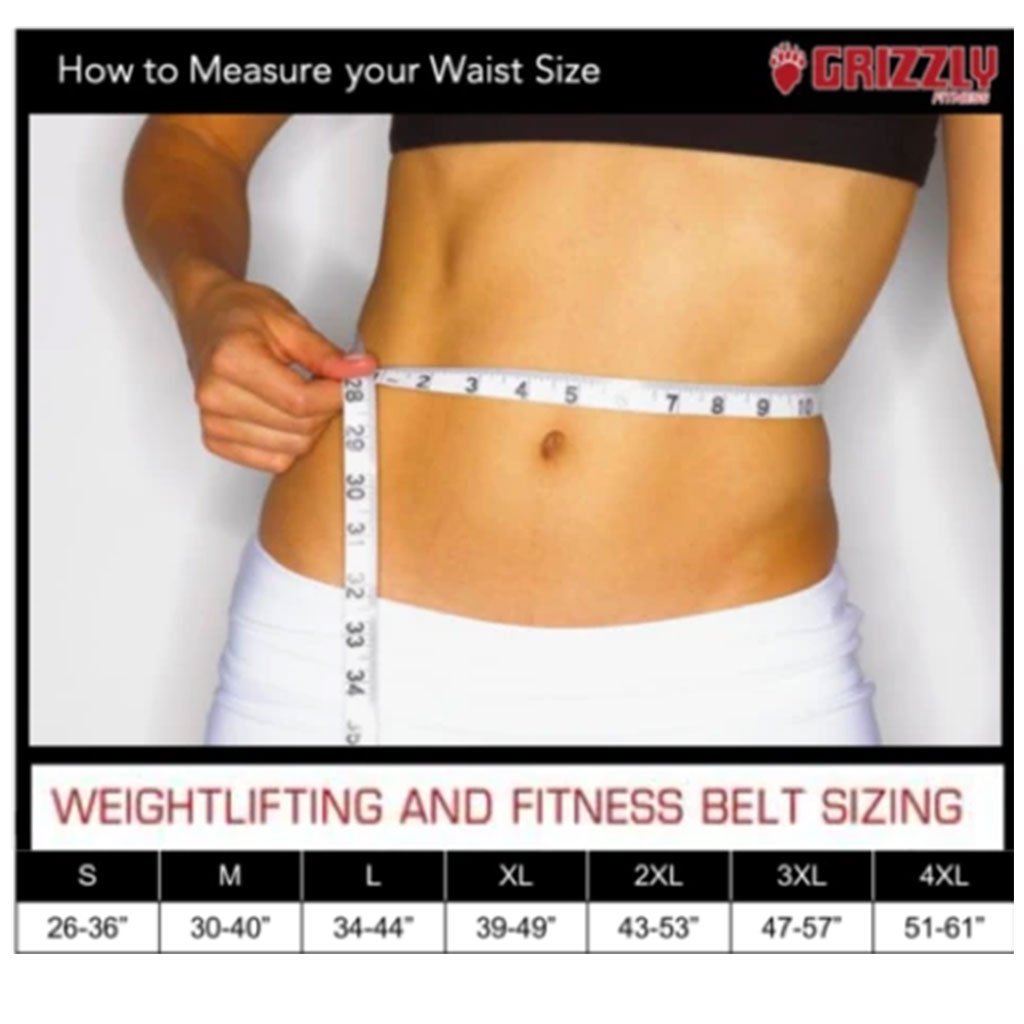 Grizzly 4" DOUBLE PRONG COMPETITION POWERLIFTING BELT 2XL 8473-04-2XL