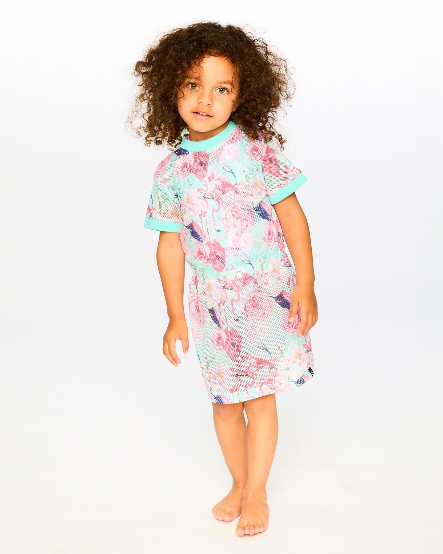 Mesh Beach Dress Blue Flamingo Print