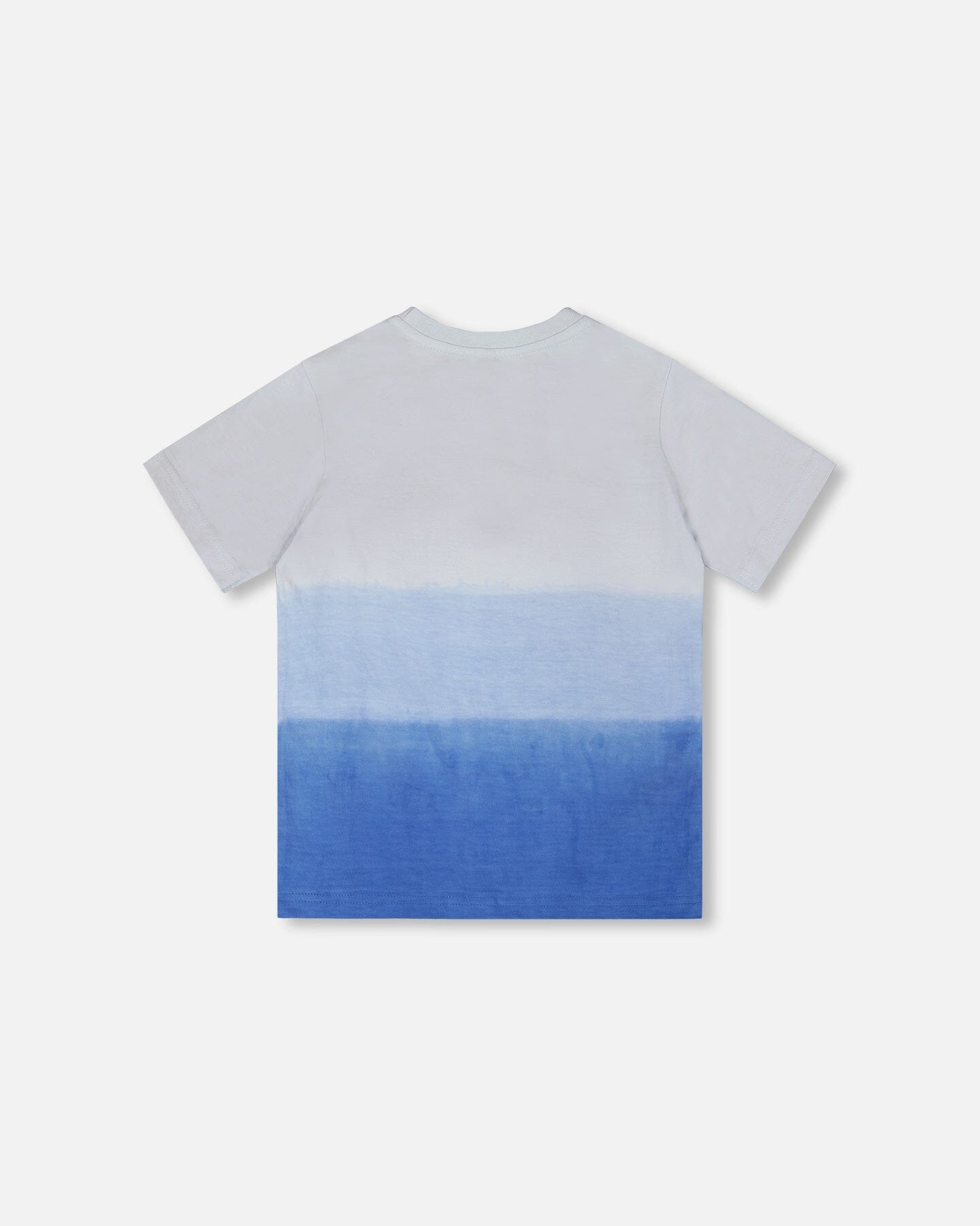 Organic Cotton Jersey T-Shirt With Print Gradient Pale Blue