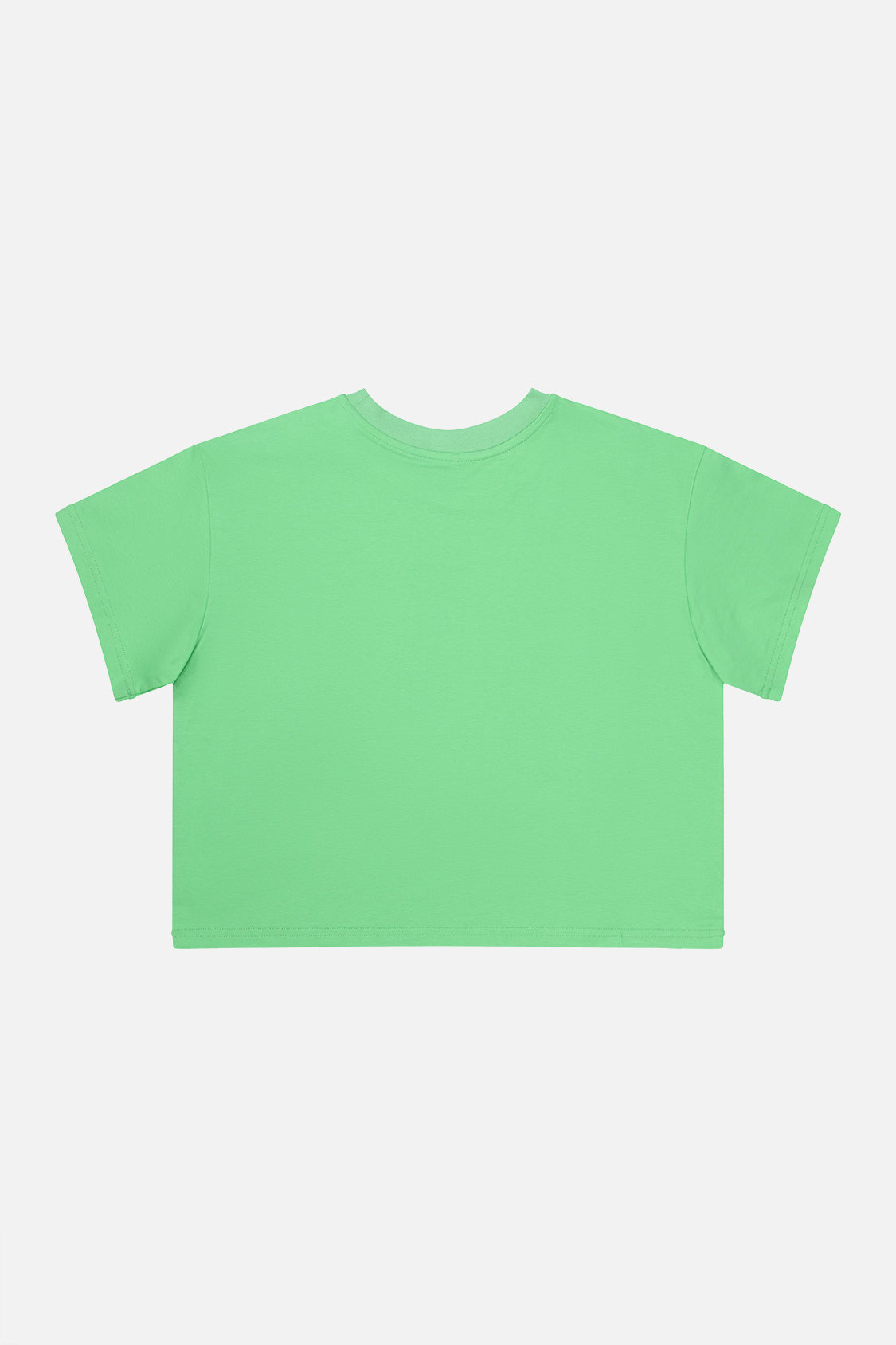Adult 40th Anniversary Graphic Boxy T-Shirt Green