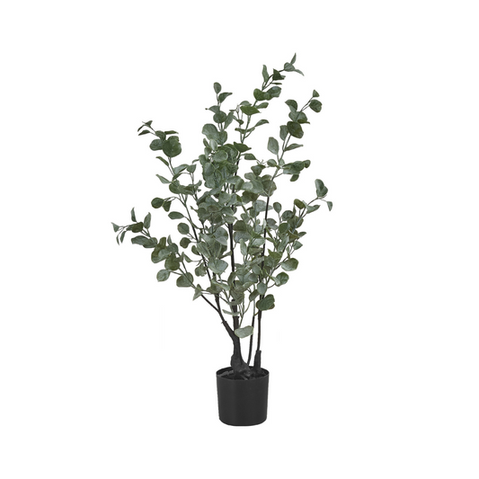 Plante artificielle - eucalyptus d'intérieur en pot 5", 35"H - Monarch (I 9562)