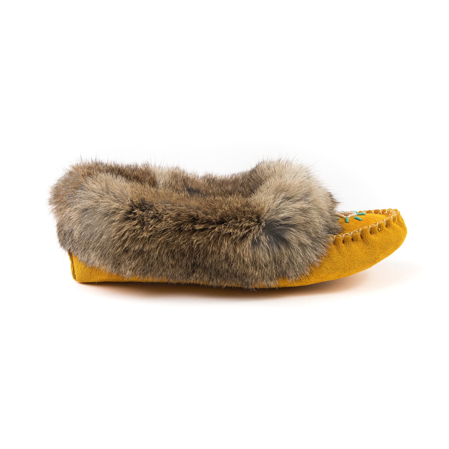 Tänionnienha’ (lapin)