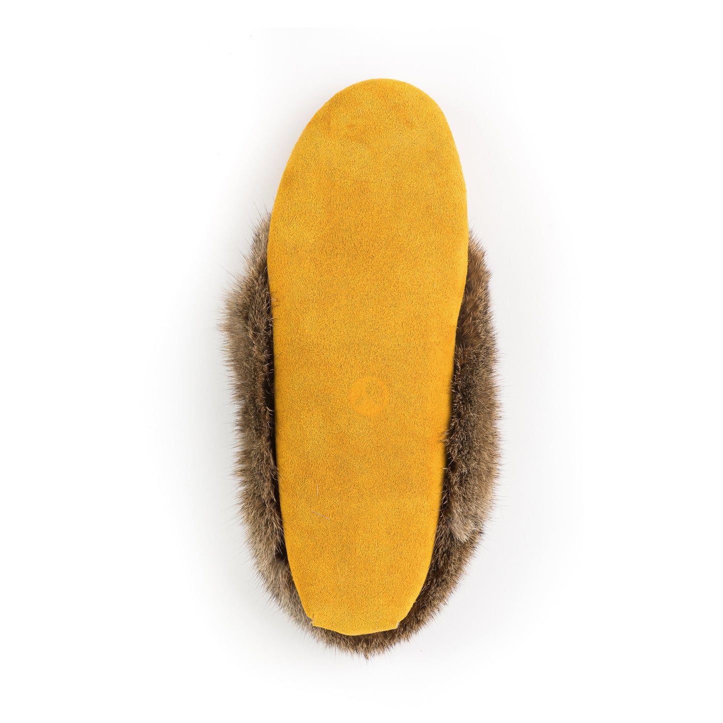 Tänionnienha’ (lapin)